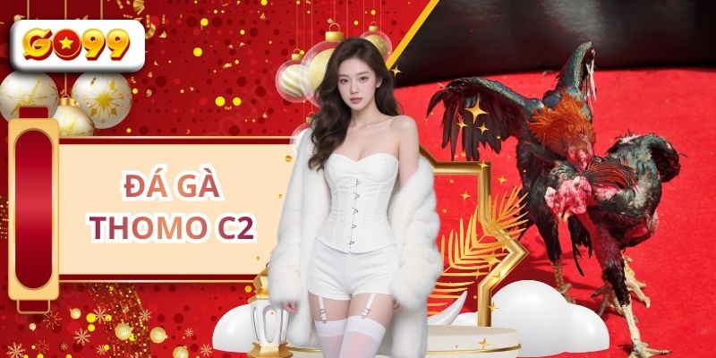 Đá Gà Thomo C2 - Đấu Trường Chọi Kệ Hấp Dẫn Số 1 Tại GO99