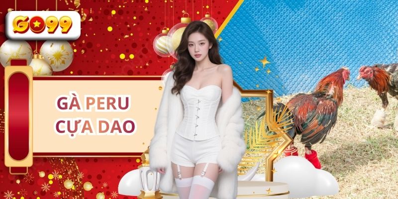 Gà Peru Cựa Dao GO99 - Nơi Hội Tụ Của Các Chiến Kê Thép